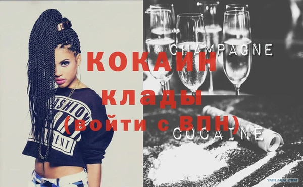 крисы Новокубанск