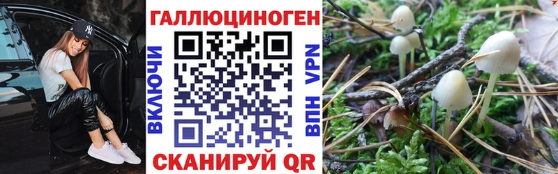 МЕГА маркетплейс  Сурск  Псилоцибиновые грибы Psilocybine cubensis 
